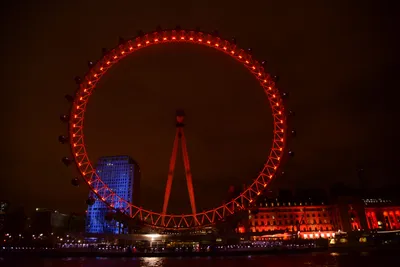 DSC_5723 (Large).JPG